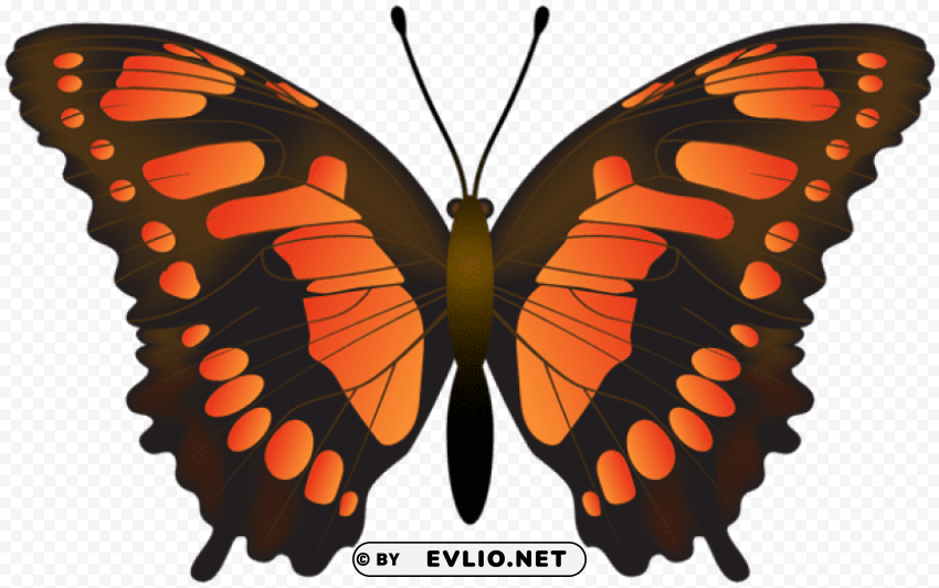 butterfly orange PNG images without restrictions clipart png photo - 153124c8