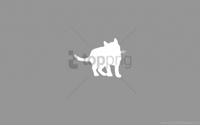 cat drawing kitten wallpaper Transparent PNG images set