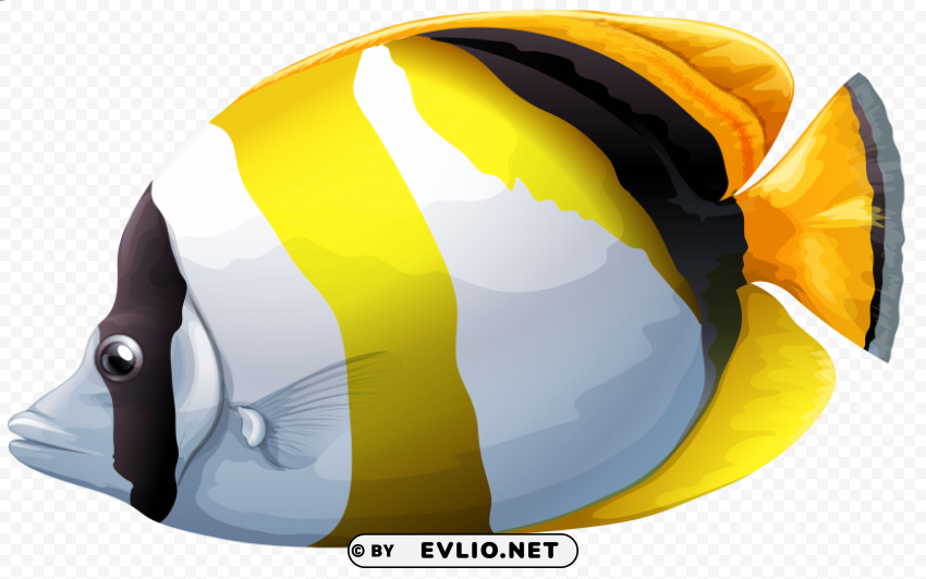 chaetodon butterfly fish PNG without watermark free