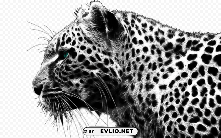 cheetah PNG files with no background bundle