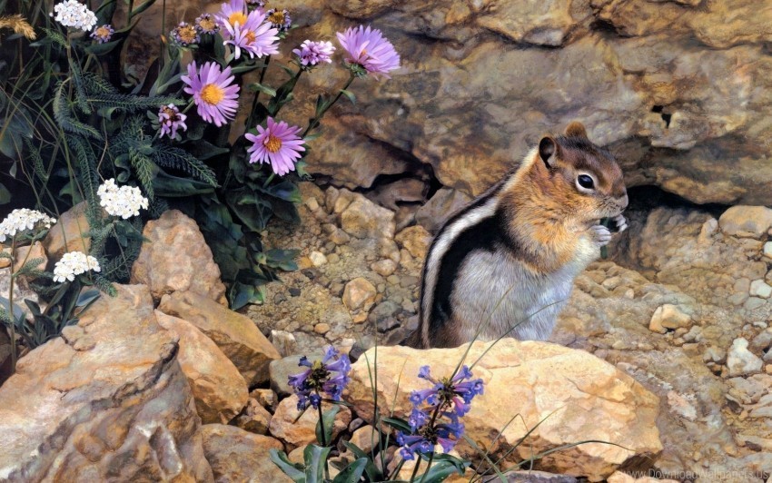 Chipmunk Flowers Sit Stones Stripes Wallpaper Transparent PNG Isolated Illustrative Element