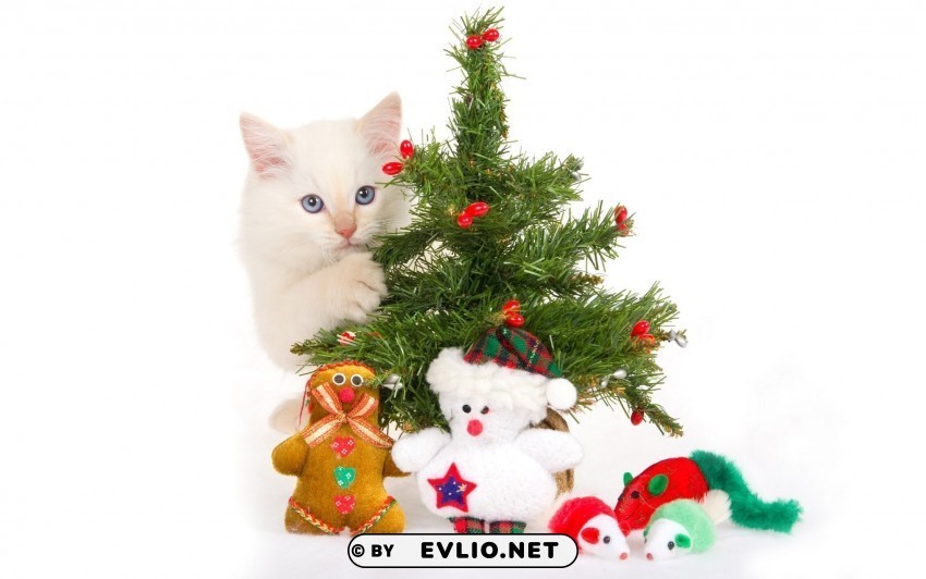 christmas tree kitten new year playful toys wallpaper Transparent PNG artworks for creativity