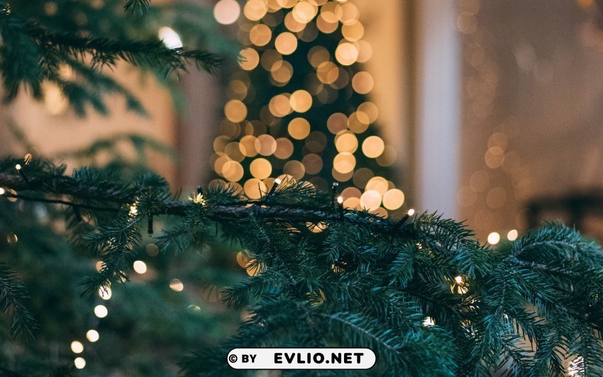 christmas tree new year christmas glare bokeh branch spruce PNG file without watermark