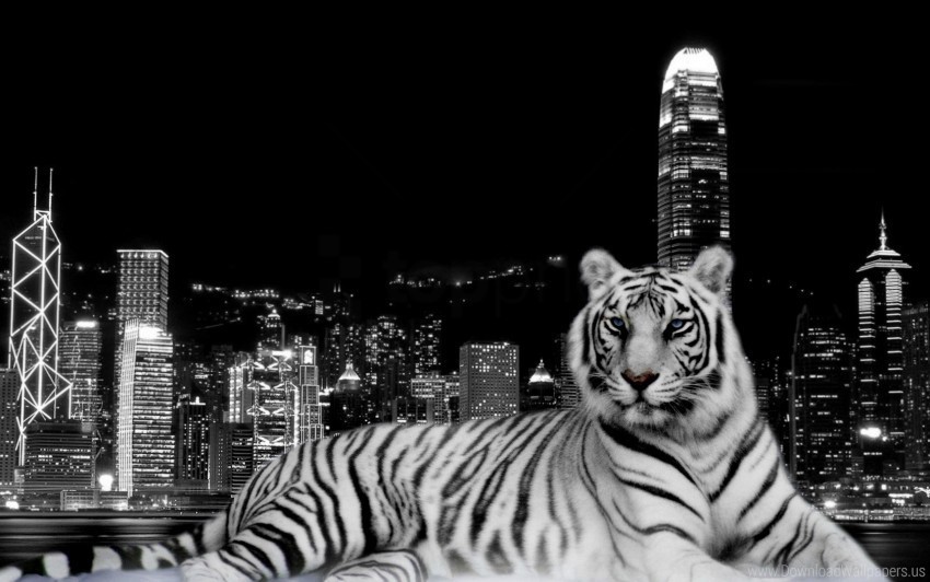 city dark tiger wallpaper ClearCut Background PNG Isolation