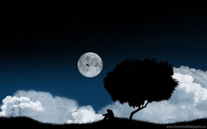 clearing dark night sky solitude tree wallpaper PNG photo with transparency