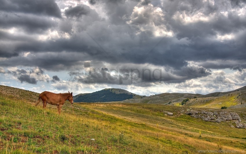 clouds grass hills horse wallpaper Transparent PNG images collection