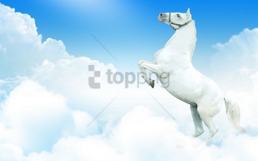clouds horse jump wallpaper HighResolution Isolated PNG with Transparency