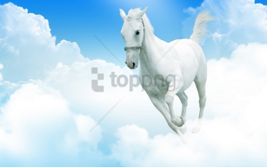 clouds jumping white horse wallpaper Clear Background PNG Isolated Item