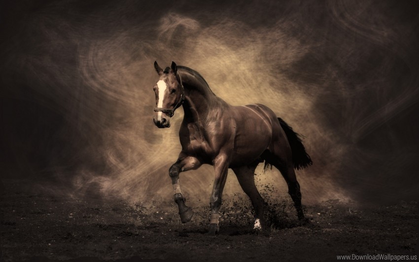 color dust horse shadow smoke wallpaper Transparent Background Isolation in HighQuality PNG