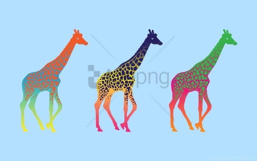 Colorful Giraffes Series Three Wallpaper Isolated Design Element On Transparent PNG