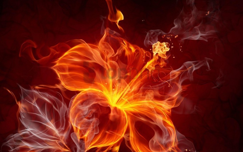 cool fire backgrounds PNG images with clear background background best stock photos - Image ID a7109390