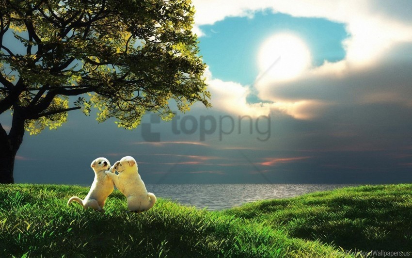 couple kids nature play puppy sunset wallpaper PNG Isolated Object with Clear Transparency