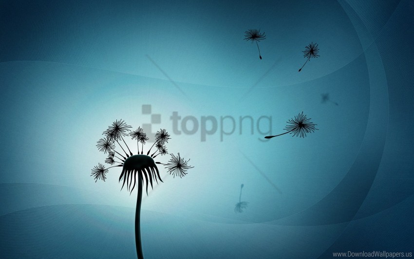 dandelion pooh vector wallpaper PNG images with clear alpha channel broad assortment