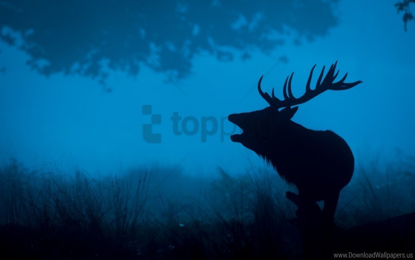deer silhouette wallpaper PNG Image with Transparent Isolated Graphic