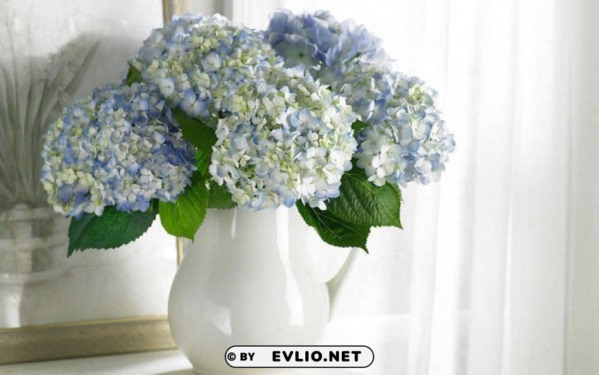 delicate vase with hydrangeas Clear Background PNG Isolation