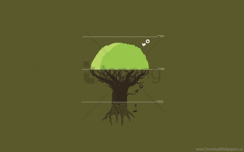 division drawing tree wallpaper Isolated Graphic with Transparent Background PNG