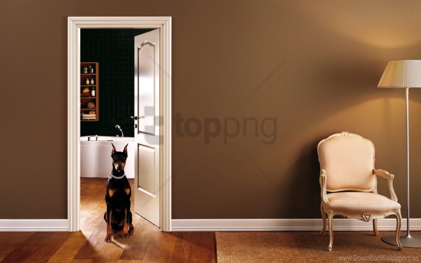 dog door entrance hall interior room wallpaper PNG transparent images bulk