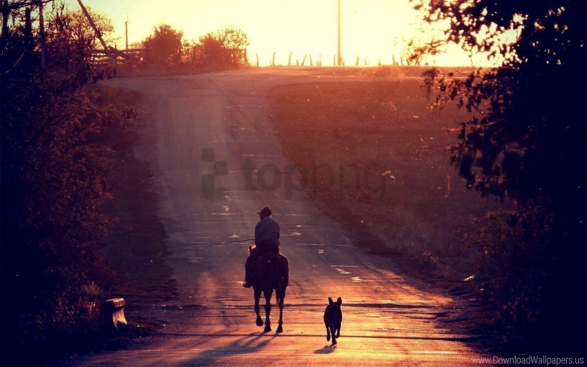dogs elevation horses rider sunset wallpaper PNG transparent images for websites