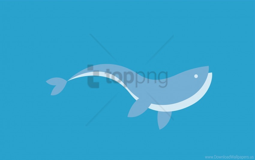 dolphin fish graphics swim wallpaper Transparent background PNG artworks