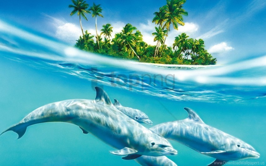 dolphin palm trees sea trees waves wind wallpaper Clear Background PNG Isolated Item