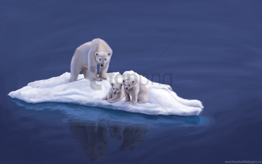 drawing island polar bears wallpaper Isolated Item with HighResolution Transparent PNG
