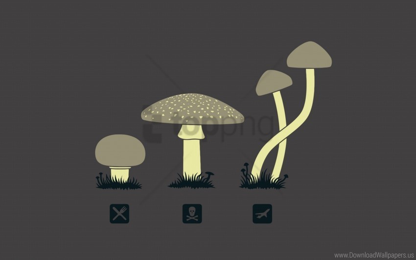 drawing kind mushrooms wallpaper Isolated Object with Transparency in PNG