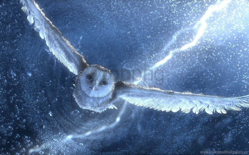 drawing owl predator sky wallpaper PNG for overlays