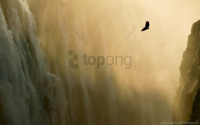 eagle wallpaper waterfall wallpaper Transparent Background PNG Isolation