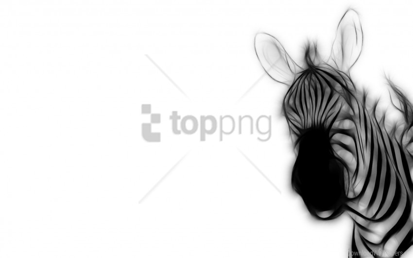 ears strips zebra wallpaper PNG graphics with alpha transparency bundle