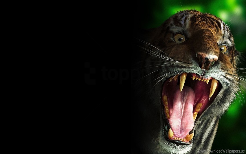 evil scary teeth tiger wallpaper PNG without background