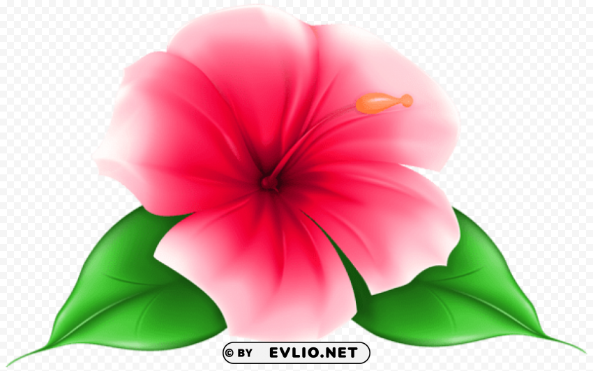 PNG image of exotic flower PNG images with no royalties with a clear background - Image ID 73524f5e