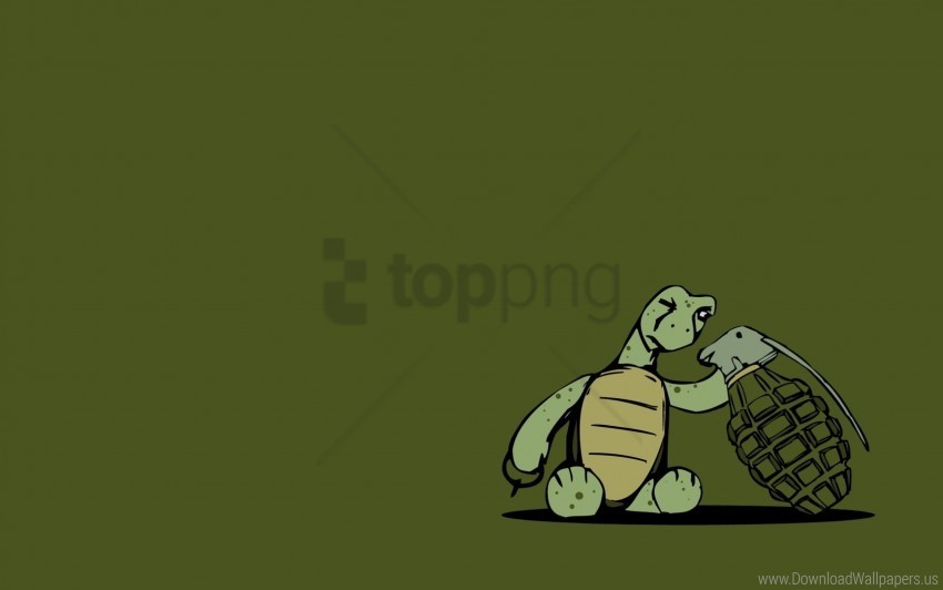 explosion grenade turtle wallpaper Isolated Item on Clear Background PNG