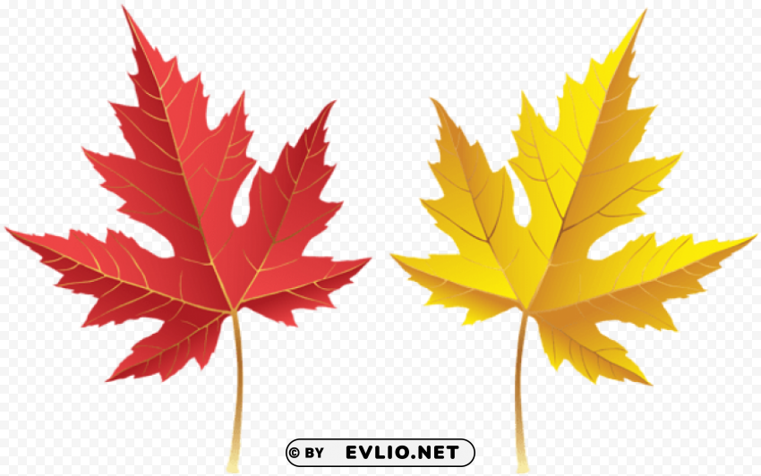 Fall Leves PNG Images With Alpha Transparency Wide Selection