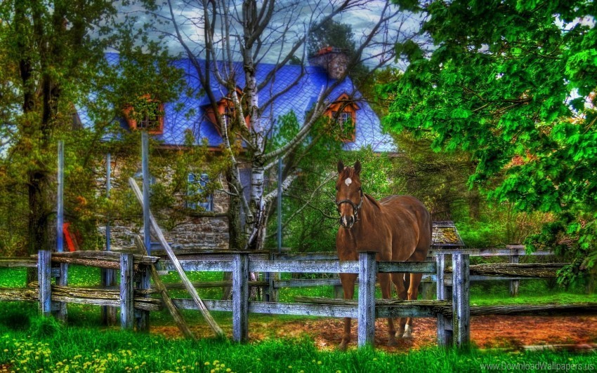 fence horse house wallpaper Isolated PNG Element with Clear Transparency