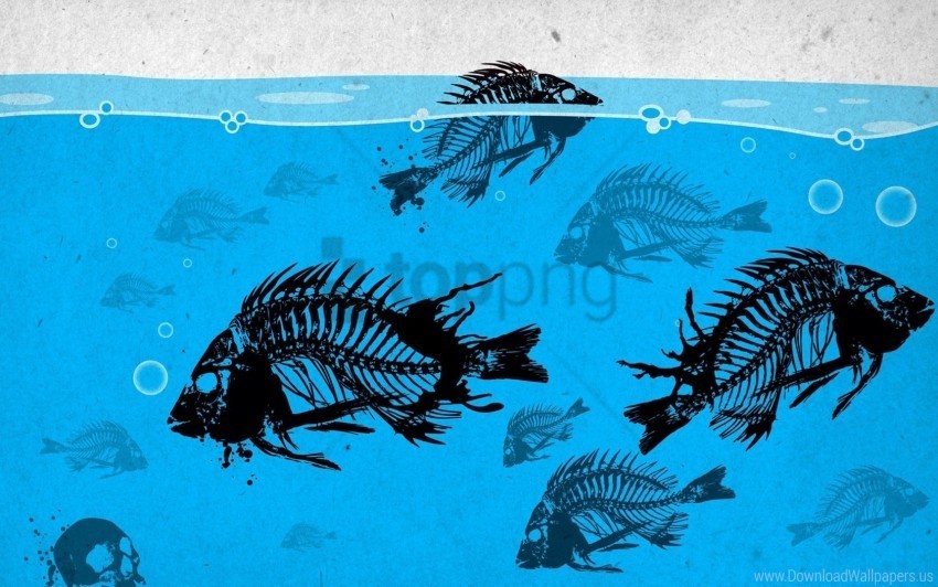Fish Paint Skeleton Under Water Wallpaper PNG Graphics