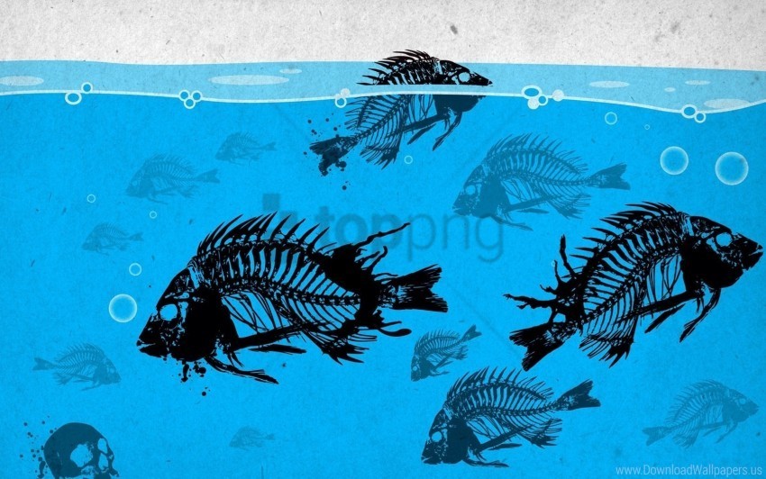 fish paint skeleton under water wallpaper PNG graphics