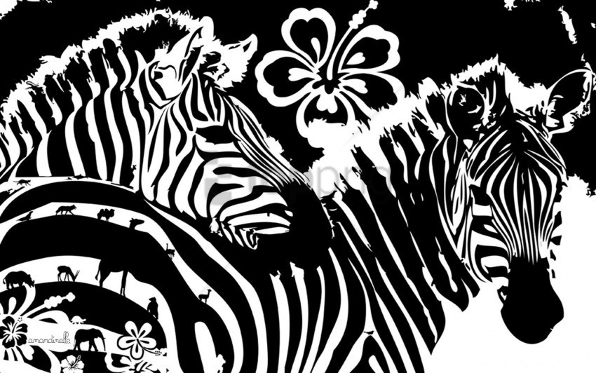 flowers graphics lines zebra wallpaper Transparent image