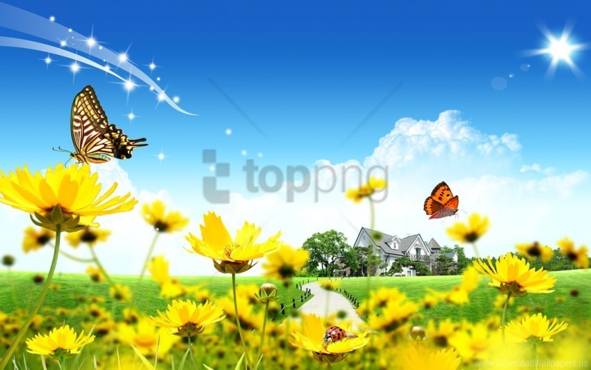 flowers house ladybugs lawn wallpaper PNG images with alpha transparency wide selection