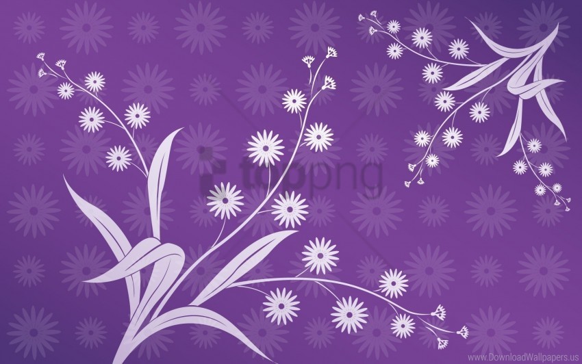flowers leaves purple wallpaper PNG with clear background extensive compilation