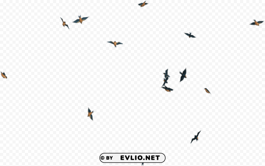 flying birds transpareng PNG images with transparent layering PNG transparent with Clear Background ID 5a6fb152