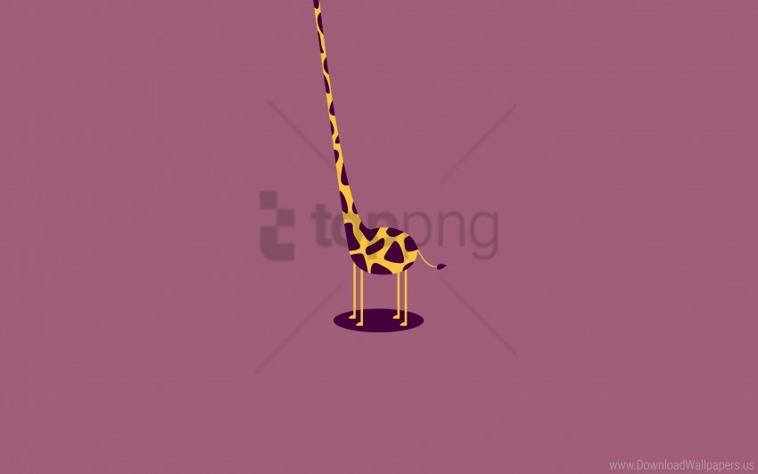 form giraffe light wallpaper Isolated Item on Transparent PNG