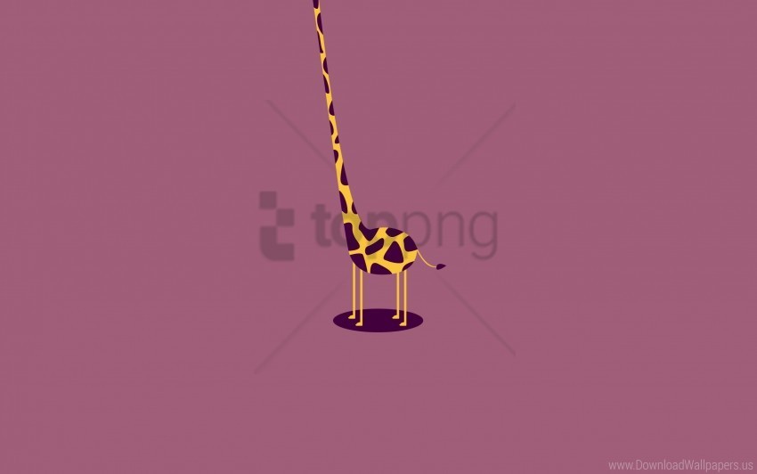 Form Giraffe Light Wallpaper Isolated Item On Transparent PNG