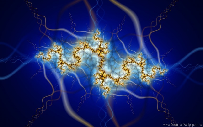 fractal nerve wallpaper Clear PNG pictures broad bulk