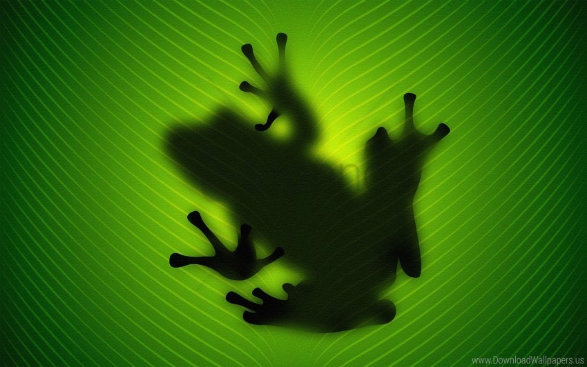 frog reflection vector wallpaper Transparent PNG Isolated Illustration