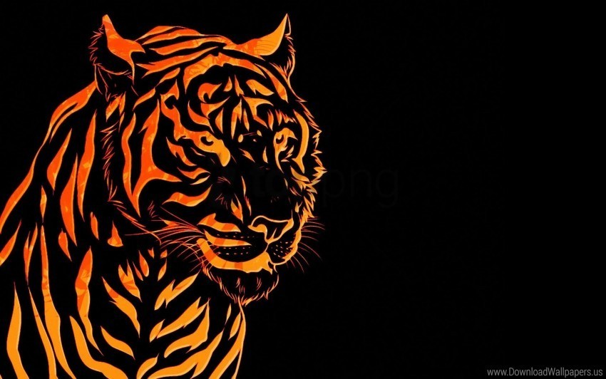 Graph Line Tiger Wallpaper PNG Photo Without Watermark