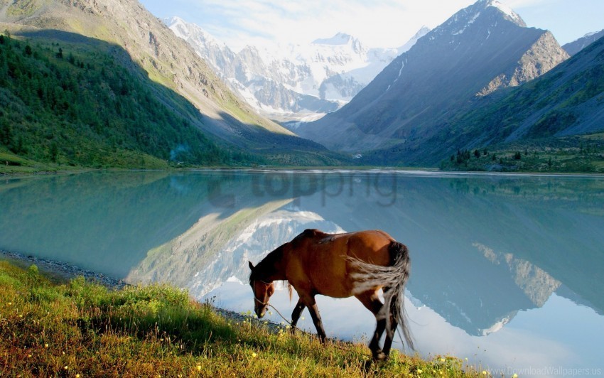 grass horse lake mountains view walk wallpaper PNG files with no royalties