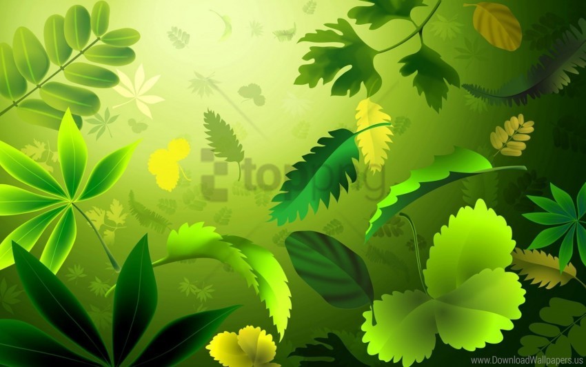 green leafs wallpaper Transparent PNG art