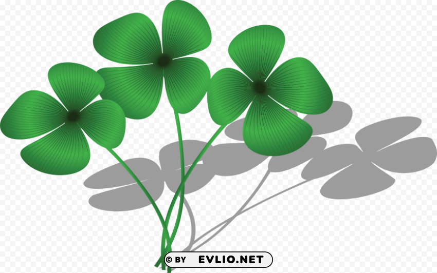 group of 4 leaf clover Transparent PNG Graphic with Isolated Object