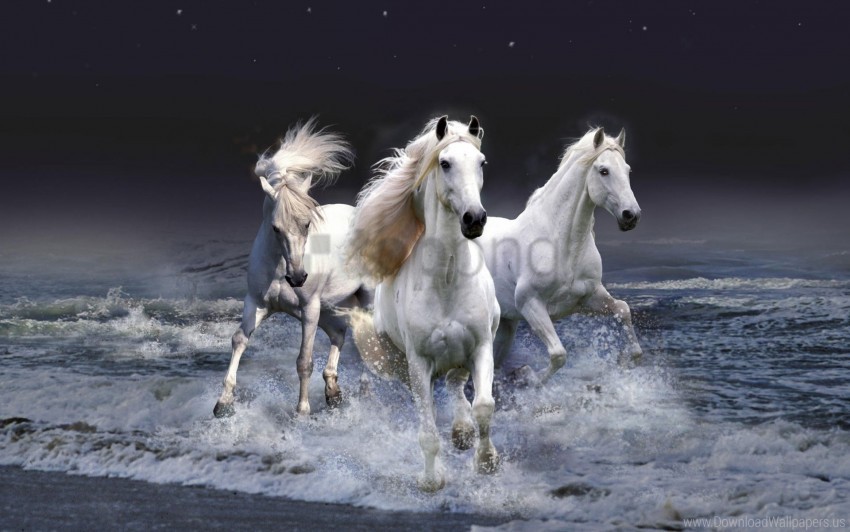 horses mystic wallpaper Isolated Design Element in HighQuality PNG