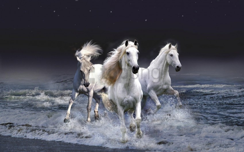 Horses Running Sky Waves Wallpaper Isolated Subject With Clear PNG Background